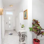 Apartment Bucket List - Zf Hvar *