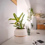 Apartment Bucket List - Zf Hvar *