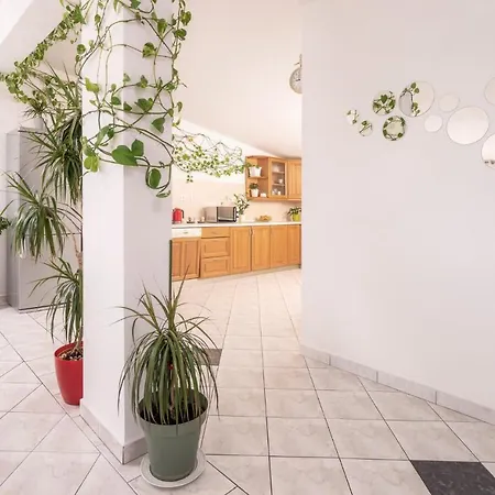 公寓 Bucket List - Zf Hvar *