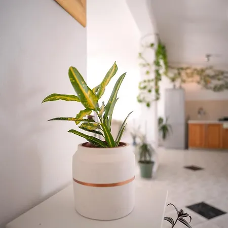 公寓 Bucket List - Zf Hvar *