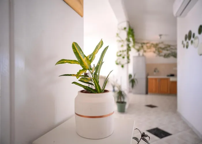 شقة Bucket List - Zf Hvar *