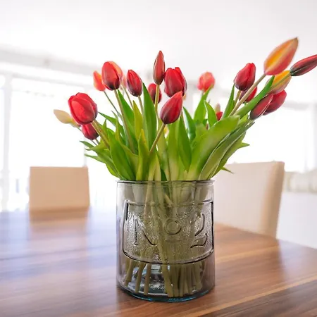 アパート Bucket List - Zf Hvar